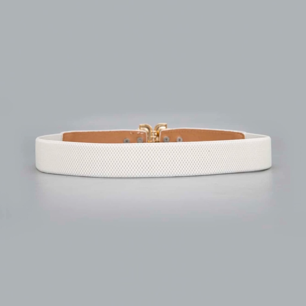 White Faux, Vegan Leather Detail Gold Tone Buckle Elastic Skinny Belt - Picture 2 of 3